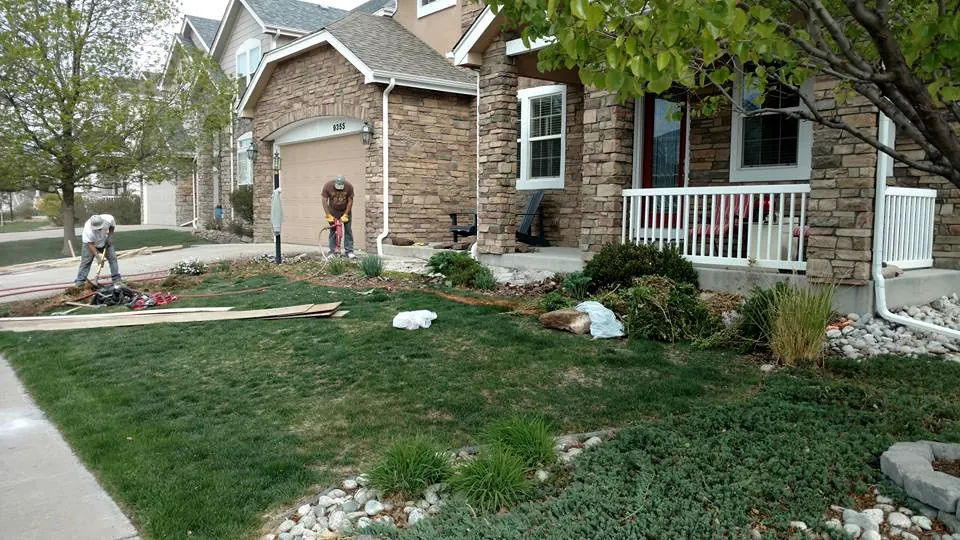 Crew finishing a front yard walk