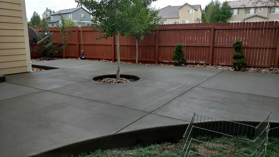 Patio poured around a tree ring with a curved edge